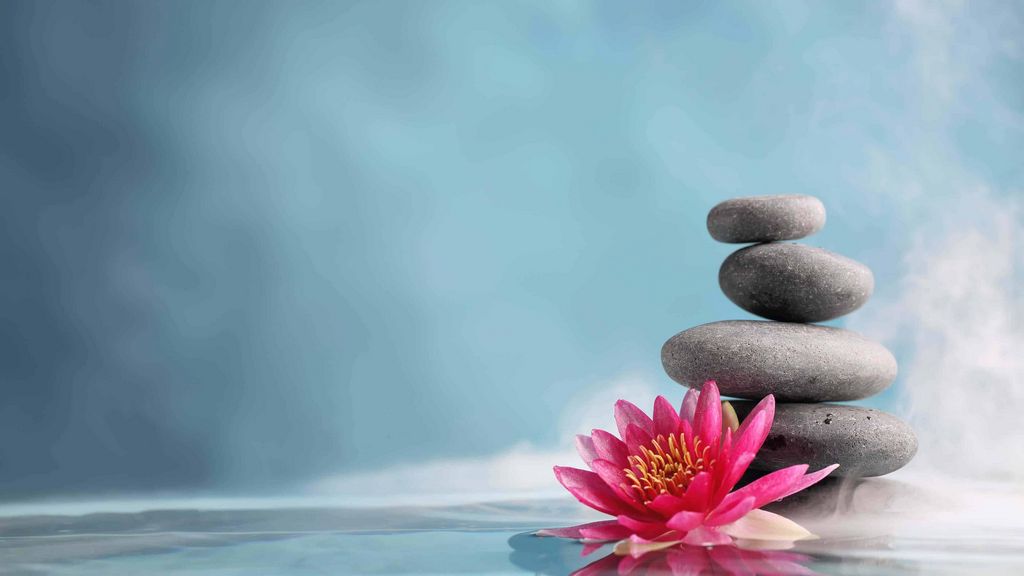 The magic touch: exactly how healthy and balanced are massage therapies in fact?
