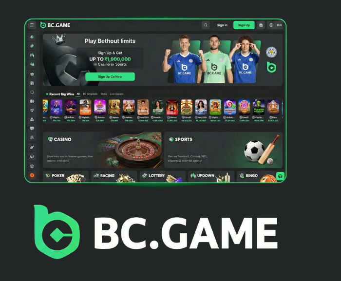 BC.Game Mirror Sites Your Guide to Alternative Access